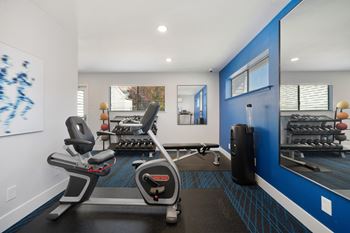 Equipment in gym